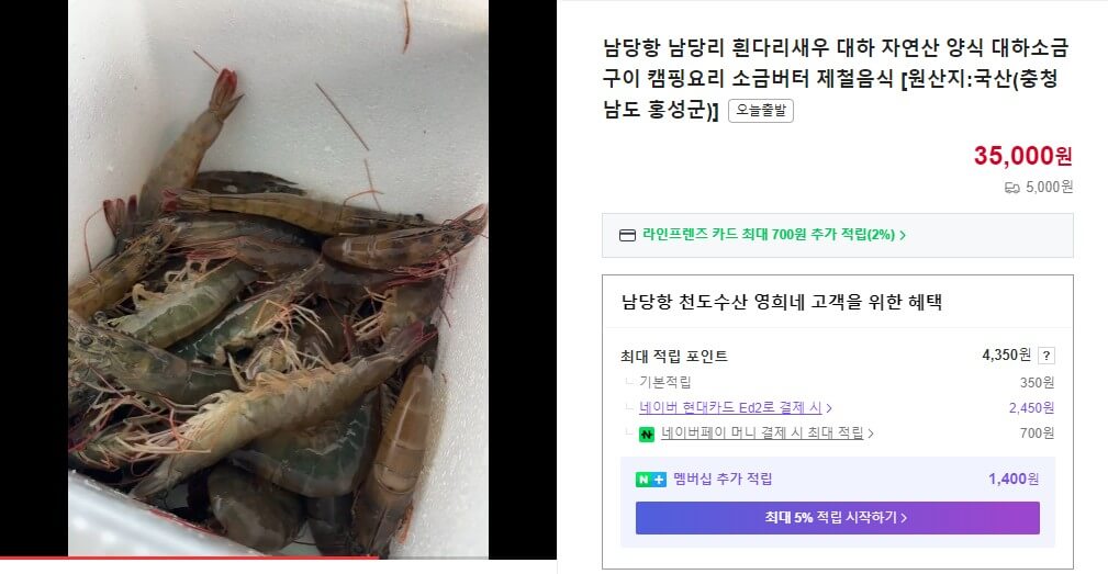 6시내고향오늘 방송 홍성 대하 흰다리새우 식당 주문화면