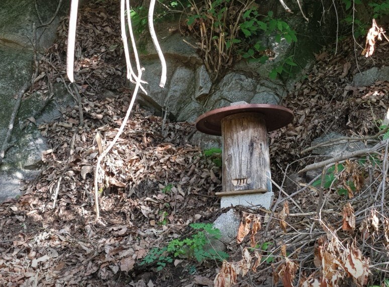 한국기행 곳간채우는날 강원 홍천 목청 토종꿀을 모으는 목청탑