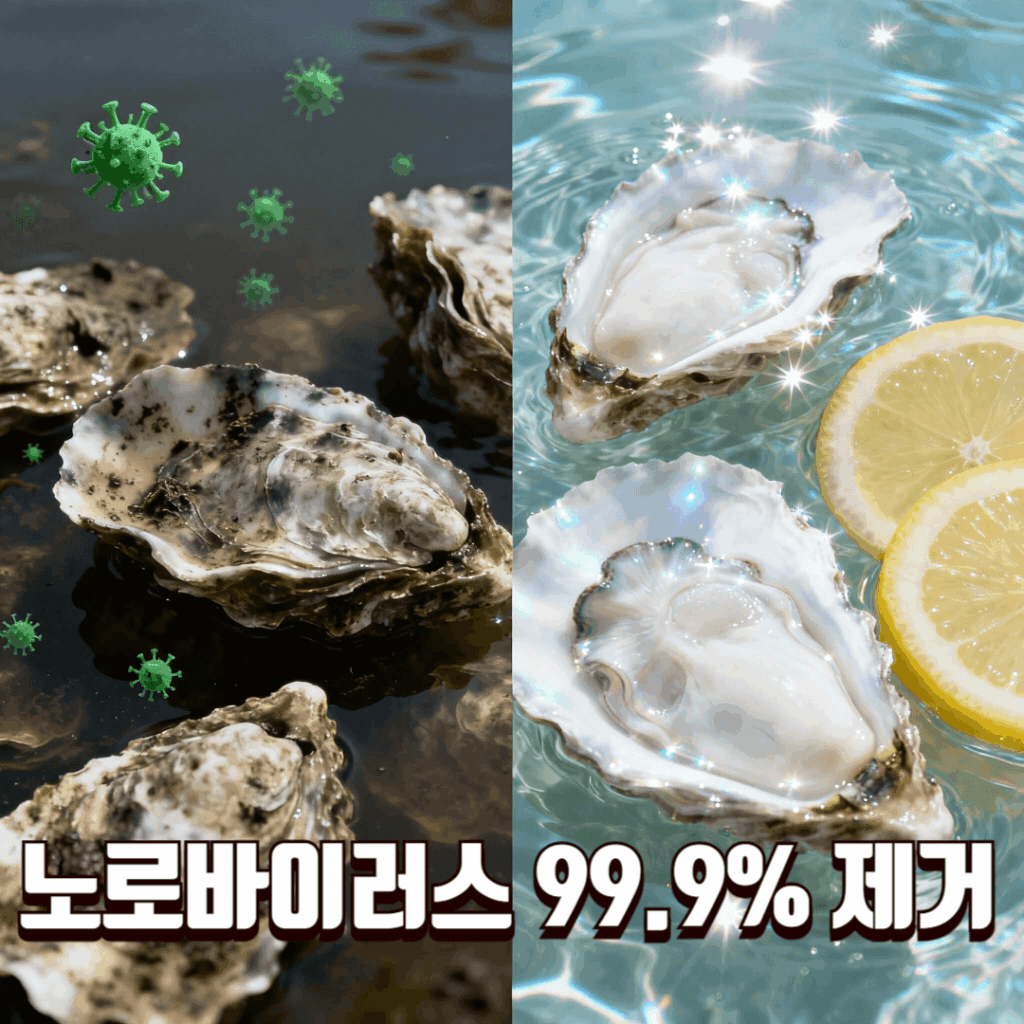 노로바이러스 걱정 없이 굴 씻는 법 썸네일