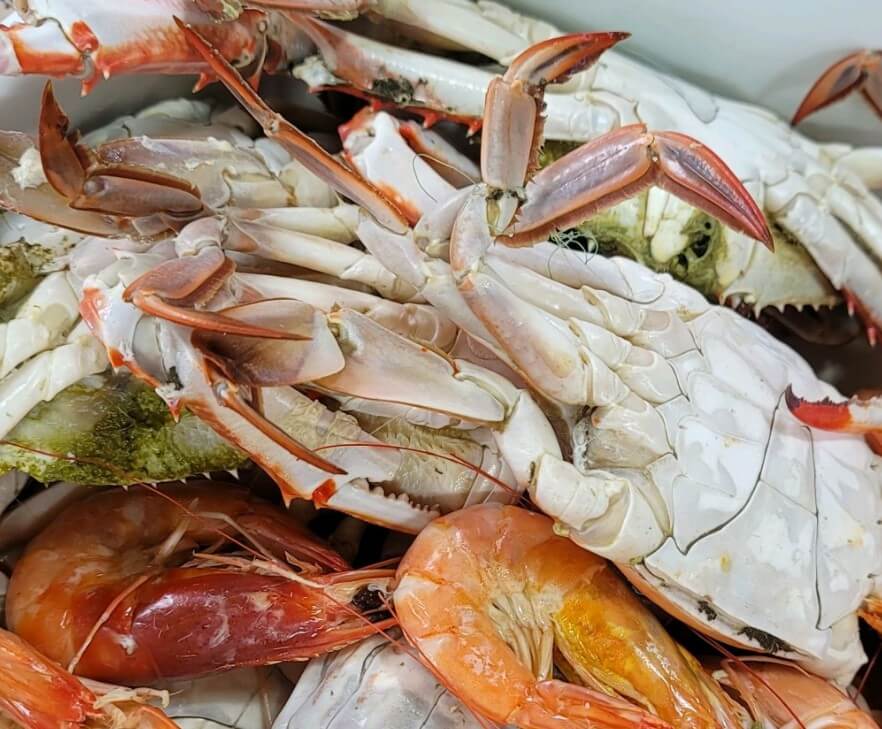 동네한바퀴 궁평항꽃게부부 꽃게