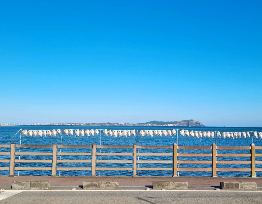 동네한바퀴 제주 바다뷰 낭만가맥집 앞 바다 풍경