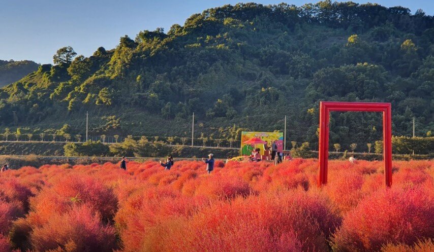 오늘N 댑싸리정원 대한민국보물정원 전경