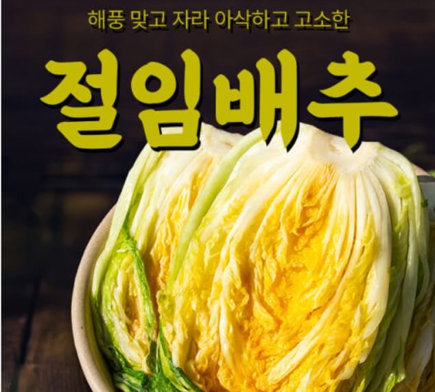 오늘N 아버지와 아들의 절임배추 이맛에 산다 썸네일