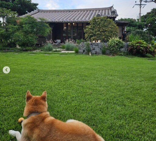 오늘N 한옥정원카페 커피한잔할래요 한옥정원풍경