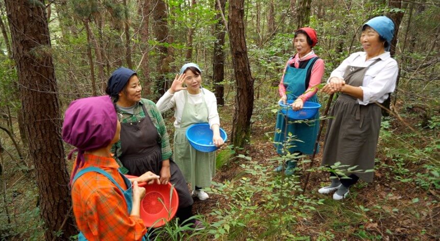 한국기행 반짝 열려요 전북 남원 지리산에서 버섯을 채취하는 장면