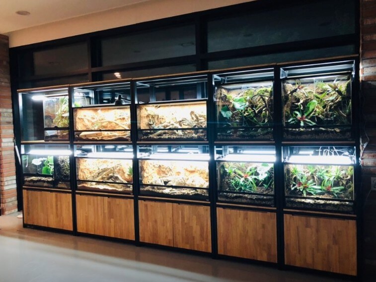 굿모닝대한민국 파충류카페 내부모습