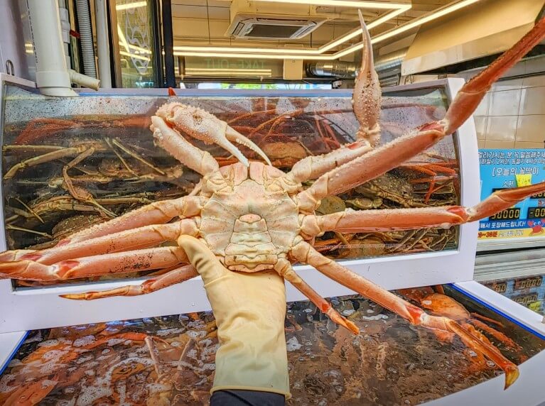 생생정보 전통시장 대게 MZ사장 제철 대게를 들고 있는 모습