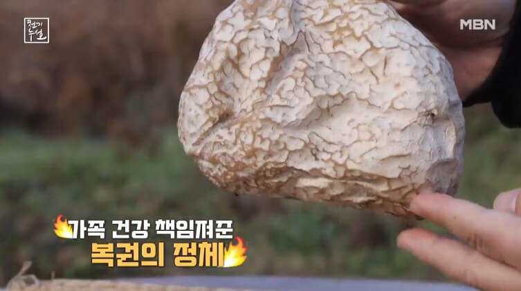 천기누설 댕구알버섯 방송화면