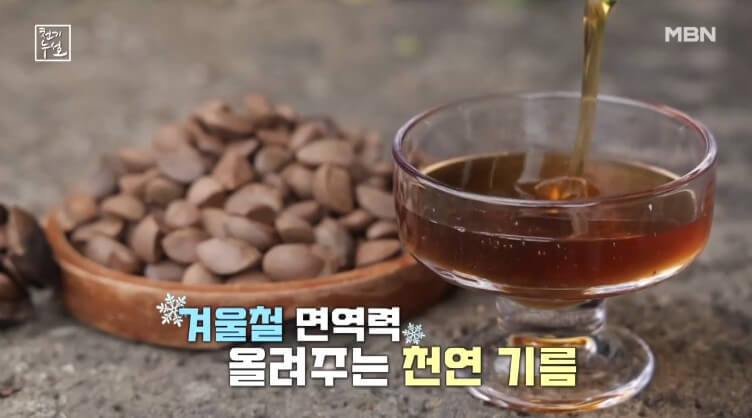 천기누설 동백기름 방송화면