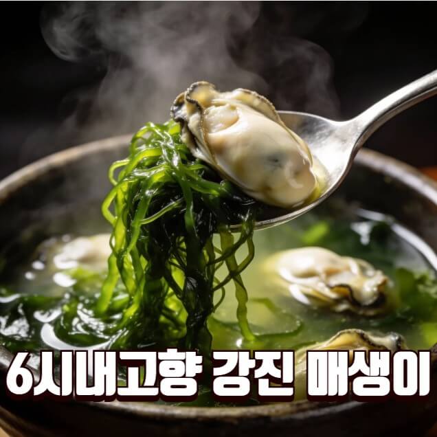 6시내고향 강진 매생이