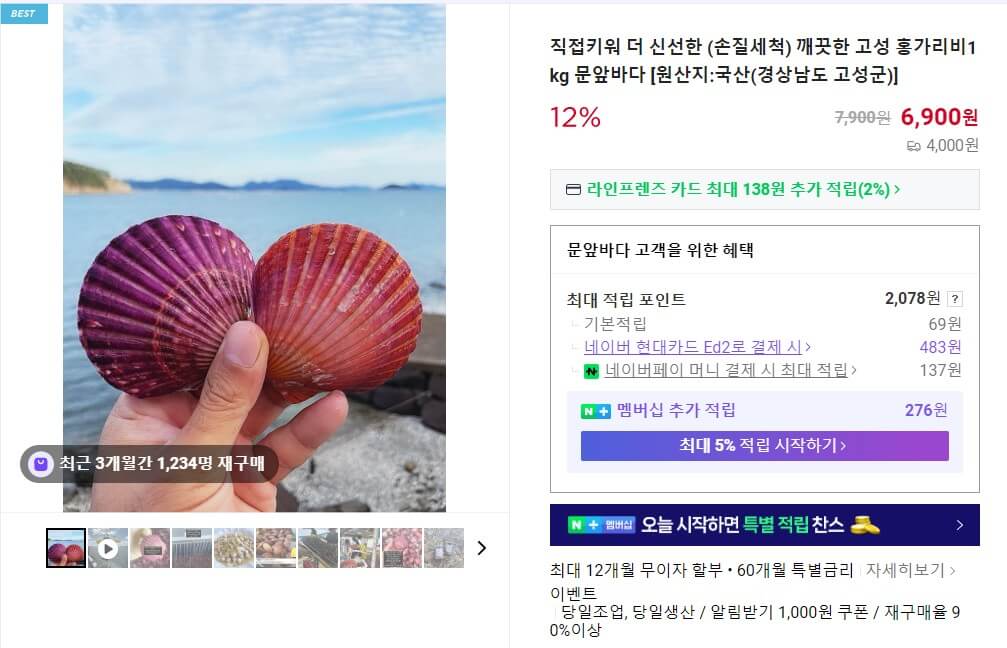 6시내고향 고성 청년어부 부부 홍가리비 주문화면