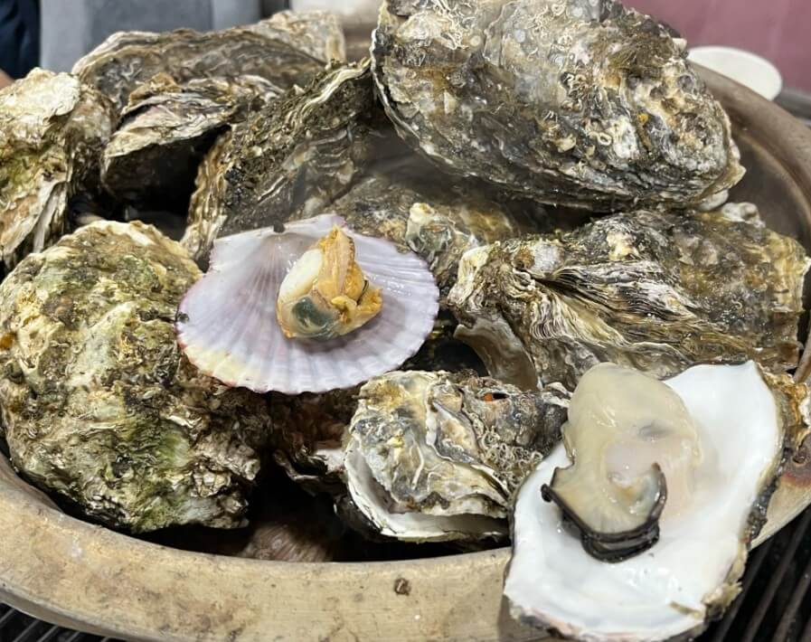 6시내고향 고향투어 안산 굴구이 굴찜 굴짬뽕 식당의 굴찜