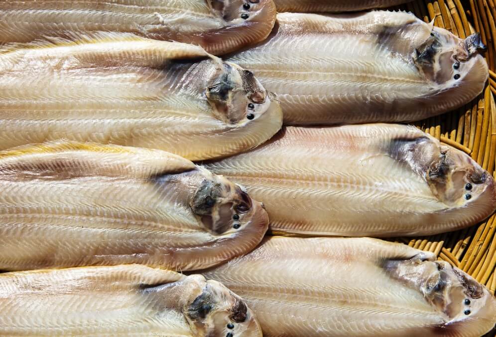 6시내고향 군산공설시장 반건조박대