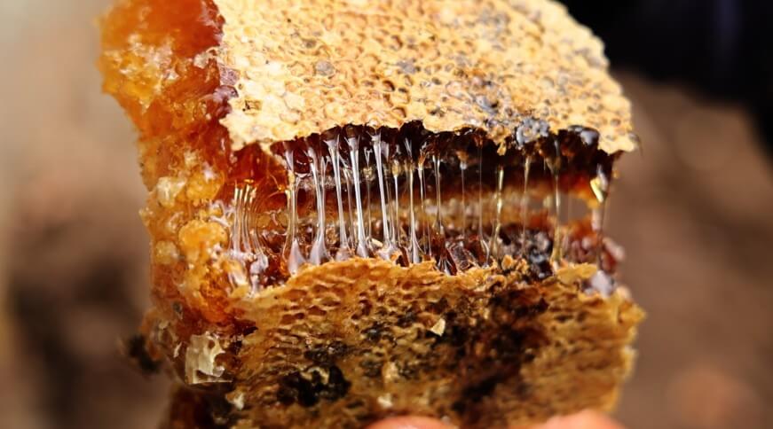 동네한바퀴 봉화 야생 토종벌꿀 설통