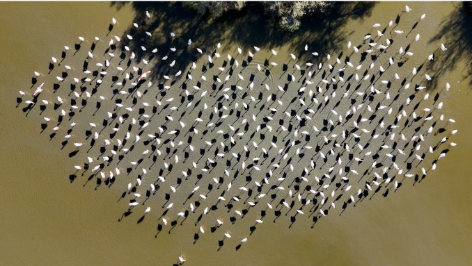 세계테마기행 프로방스 아트로드 카마르그 퐁드고 조류 공원