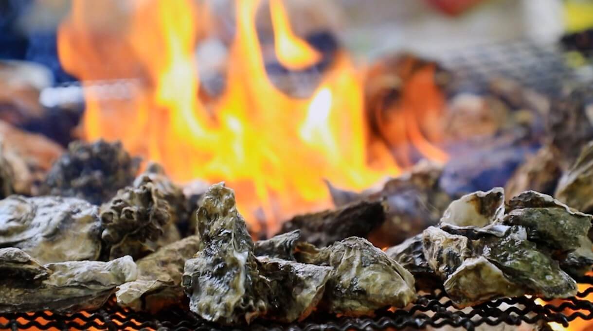 한국기행 달콤한겨울 전남 장흥 남포마을 석화 구이