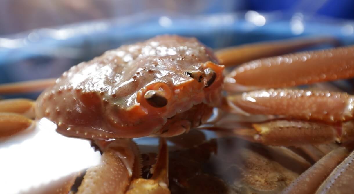 한국기행 맵고짜고달고 강원 강릉 대게