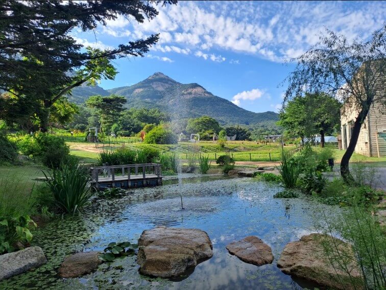 6시내고향 고향투어 남양주 수목원