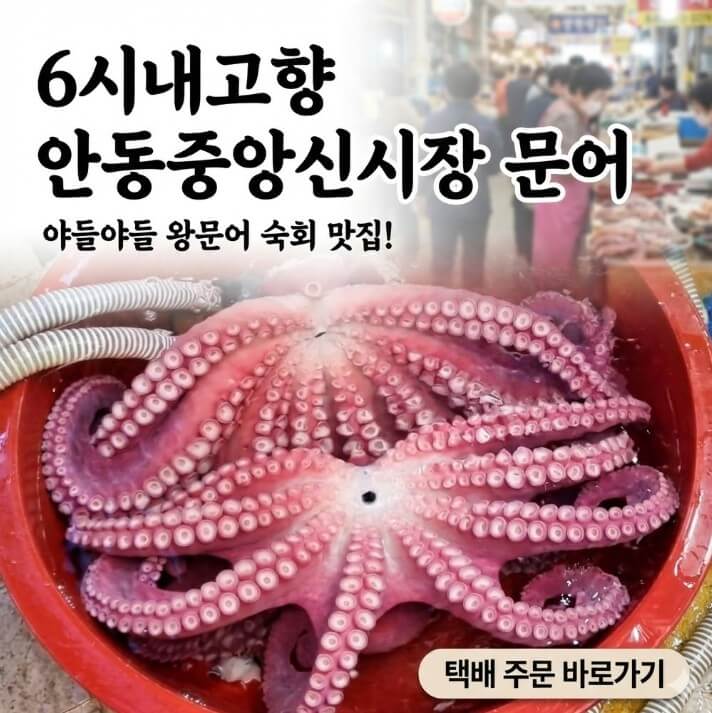 6시내고향 안동중앙신시장 문어 썸네일