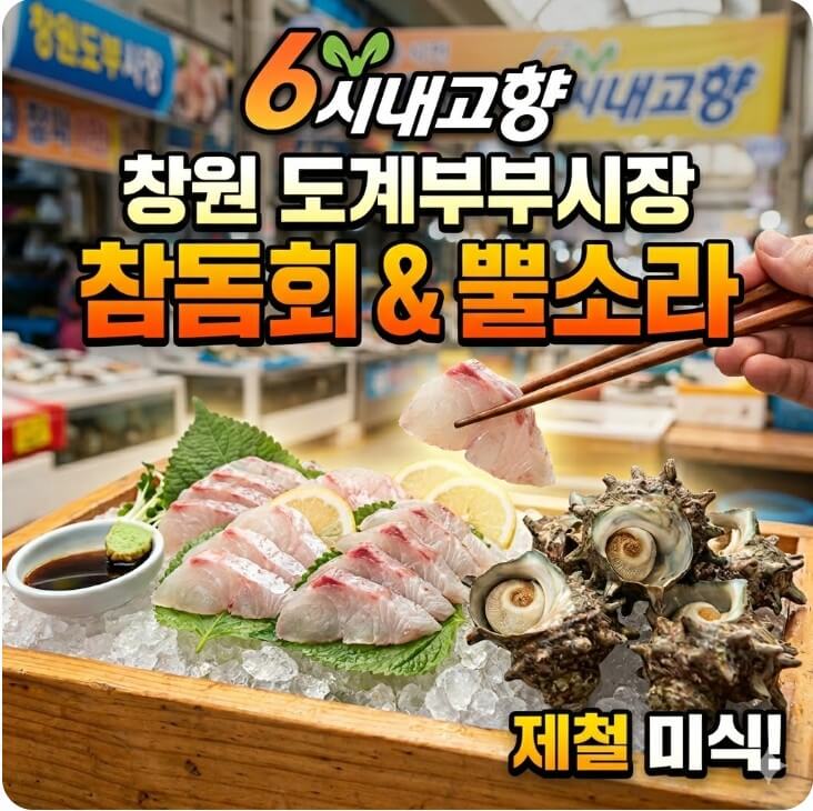 6시내고향 창원도계부부시장 참돔회 뿔소라 썸네일