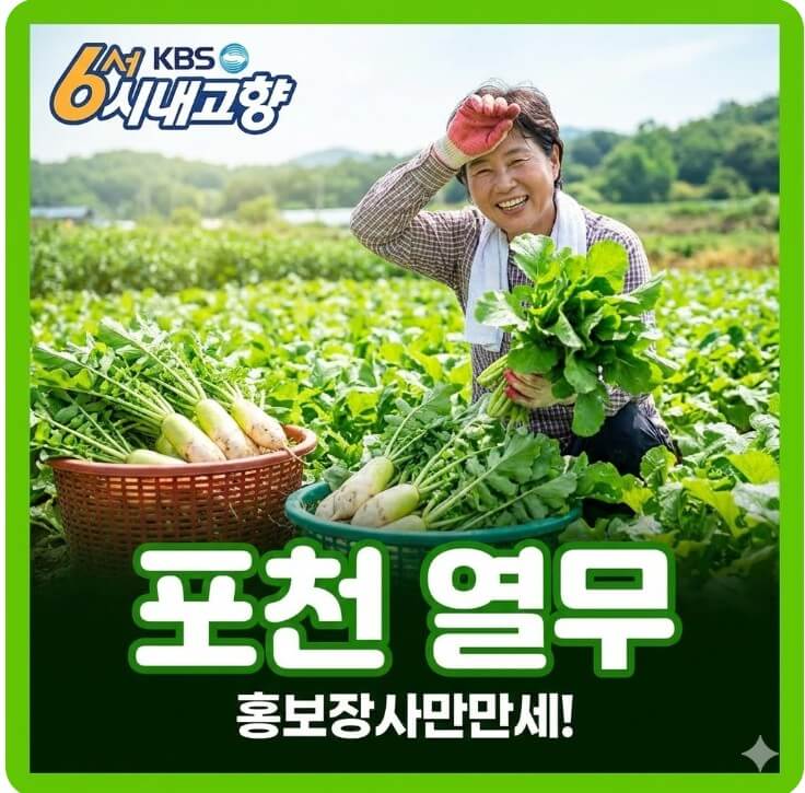 6시내고향 포천 열무 썸네일