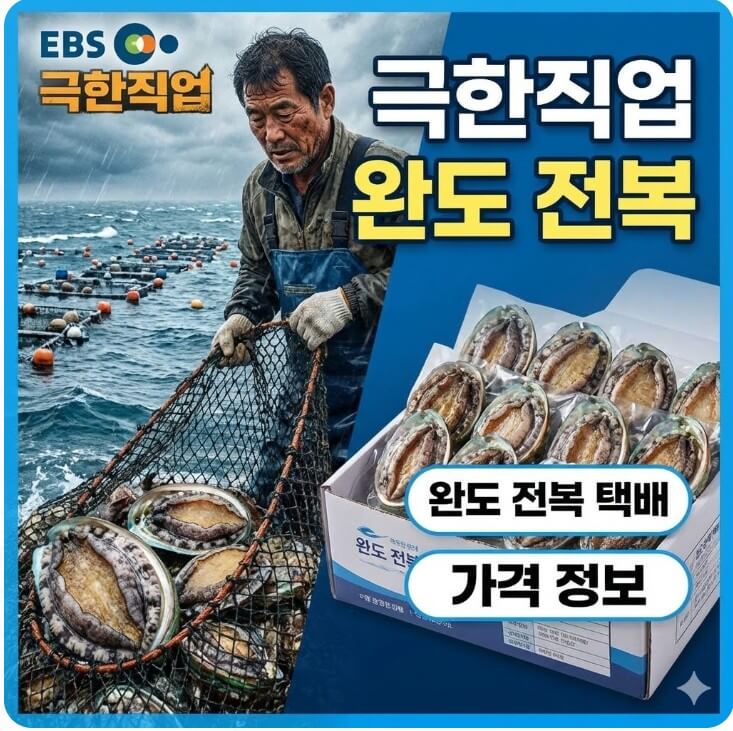 극한직업 완도 전복