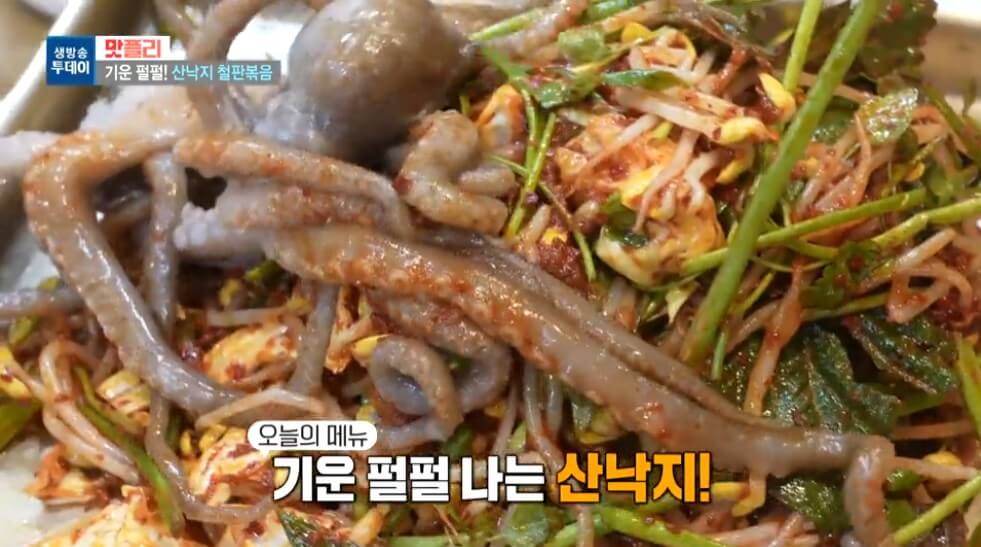 모닝와이드 산낙지철판볶음 산낙지갈비전골