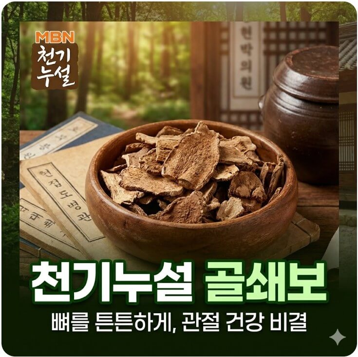 천기누설 골쇄보 썸네일