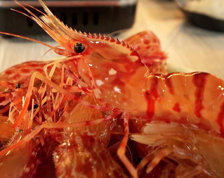 한국기행 겨울엔 울릉도 경북 울릉 독도새우