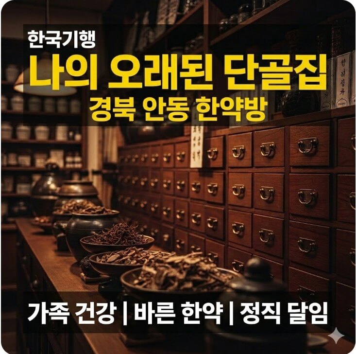 한국기행 나의 오래된 단골집 경북 안동 한약방 썸네일