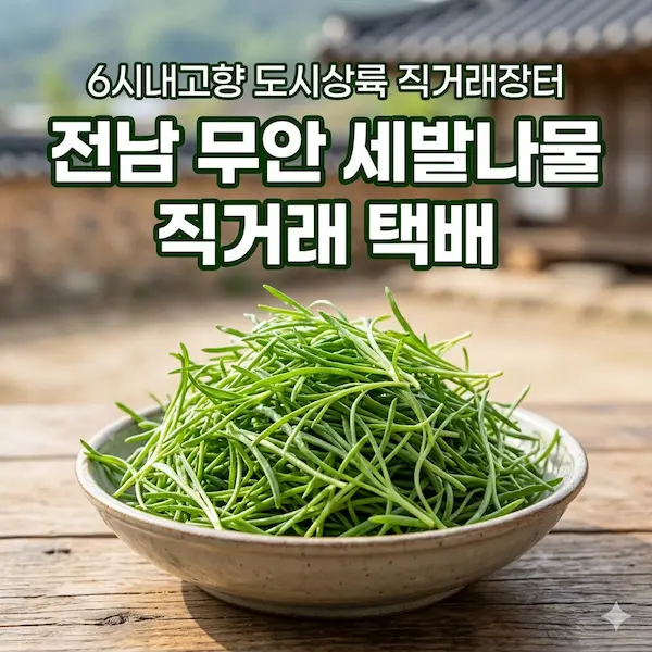 6시내고향 도시상륙 직거래장터 전남 무안 세발나물 썸네일