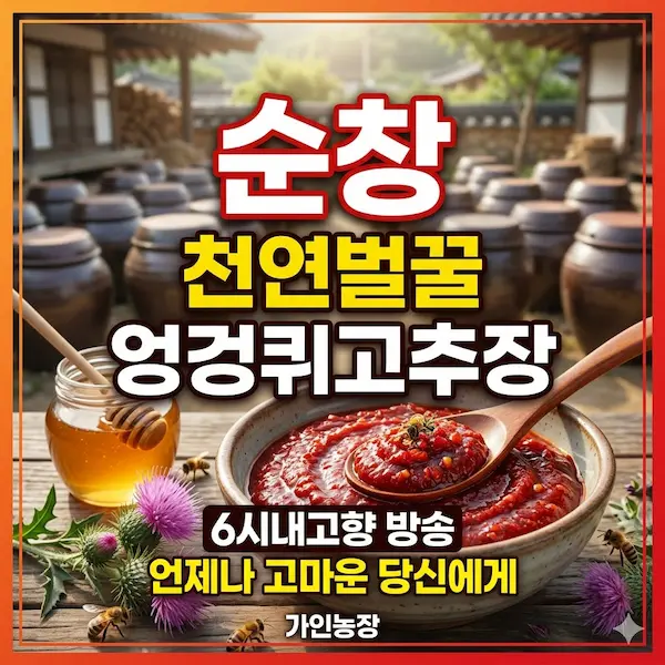 6시내고향 언제나 고마운 당신에게 순창 천연벌꿀 엉겅퀴고추장 썸네일