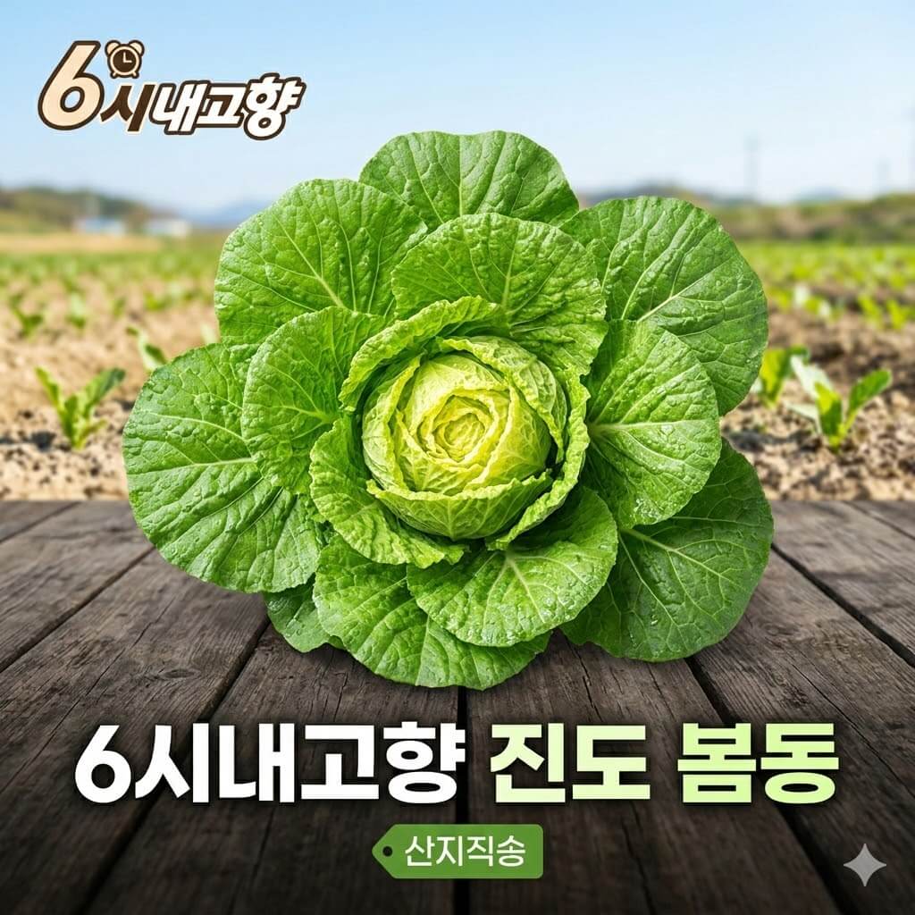 6시내고향 진도 봄동 썸네일