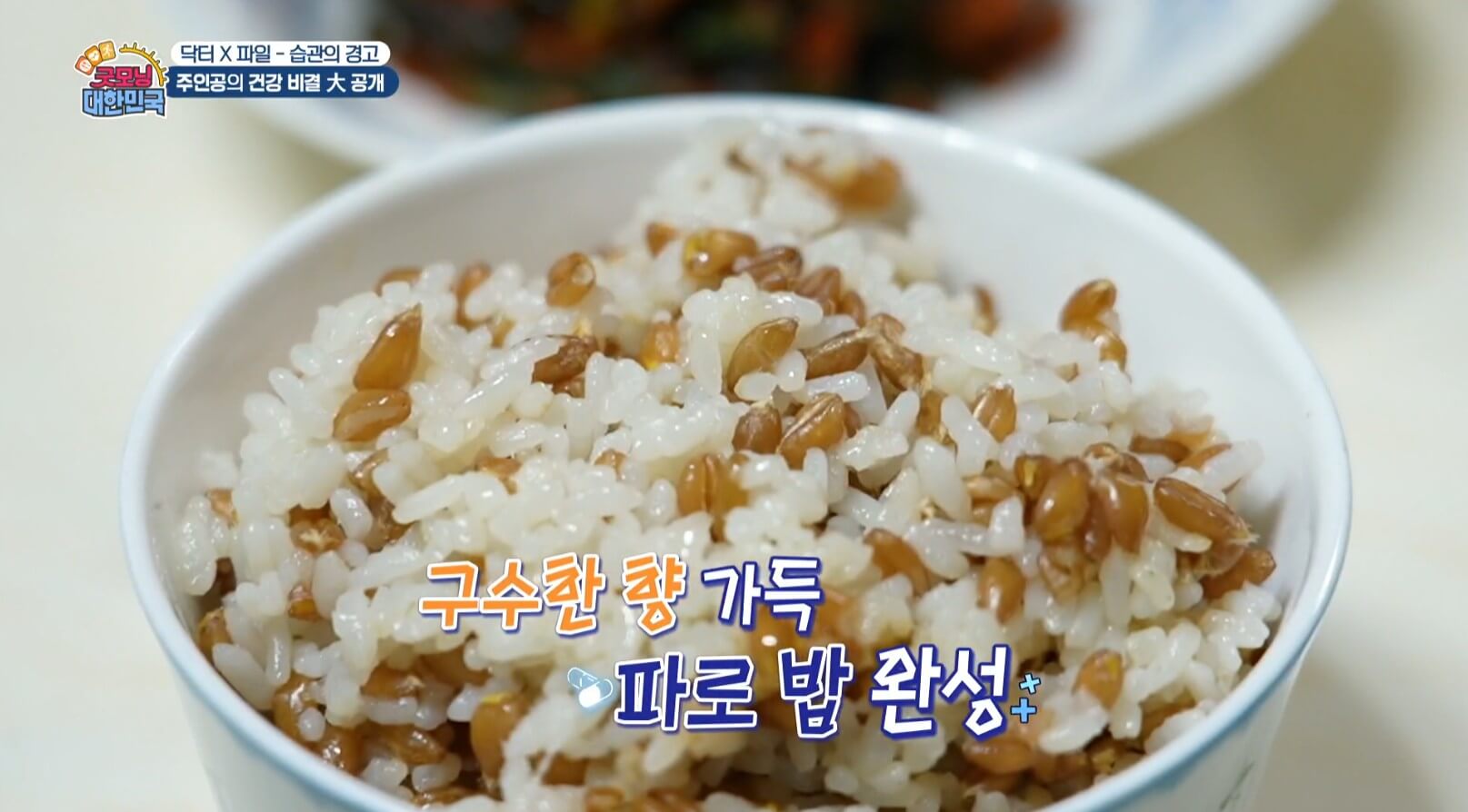 굿모닝대한민국 파로를 가지고 지은 밥