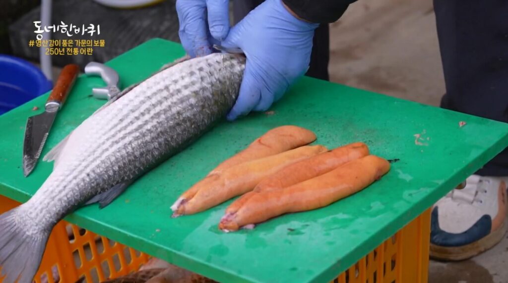 동네한바퀴 250년 전통 어란의 재료 숭어알