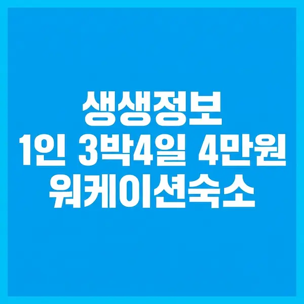 생생정보 1인 3박4일 4만원 워케이션숙소