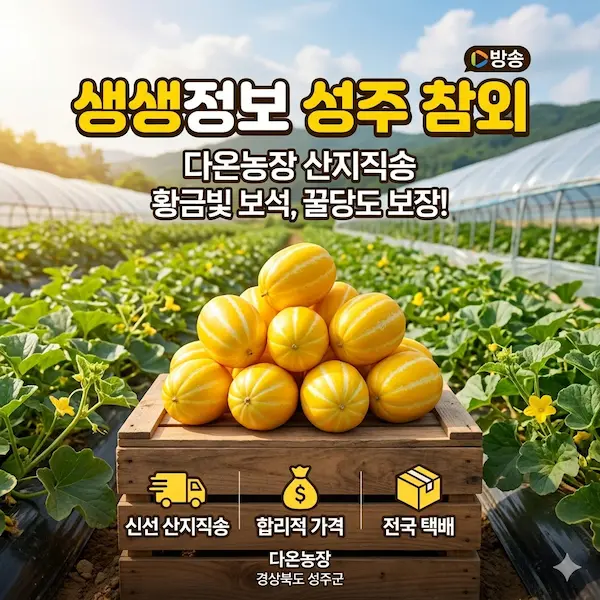 생생정보 성주 참외 농장