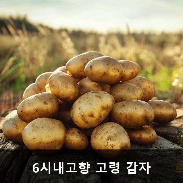 6시내고향 고령 감자 관련 대표 이미지