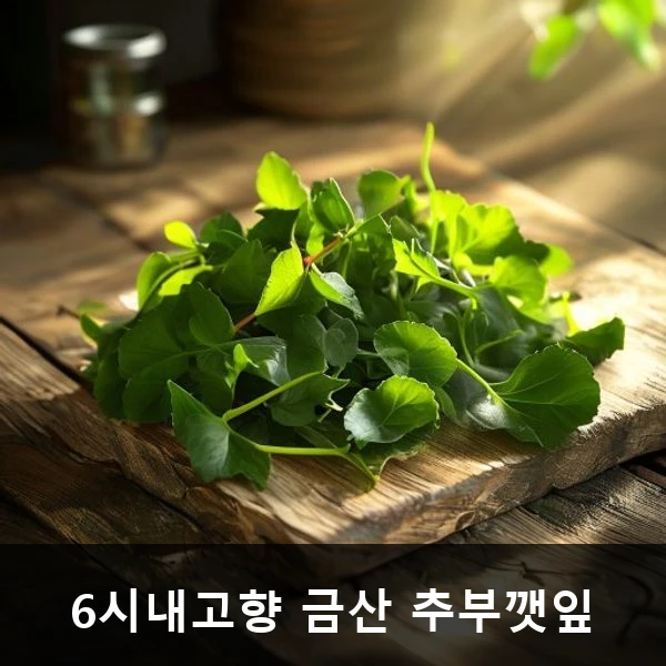 6시내고향 금산 추부깻잎