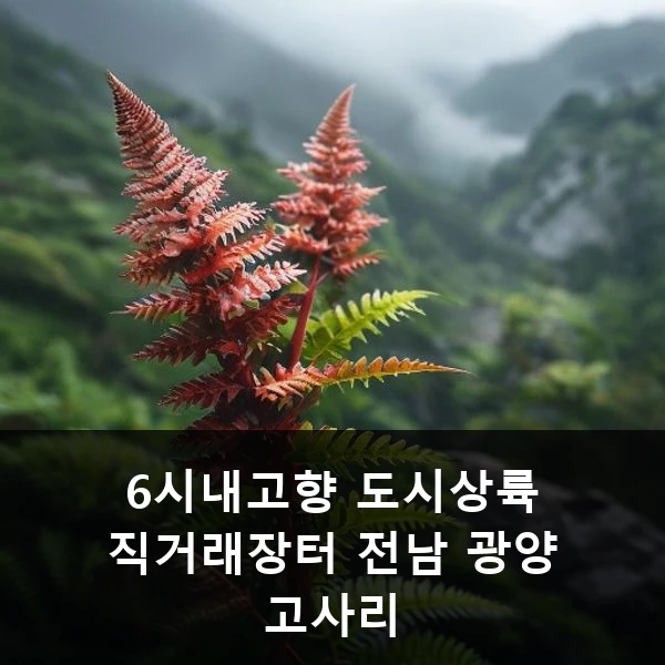 6시내고향 도시상륙 직거래장터 전남 광양 고사리 관련 대표 이미지