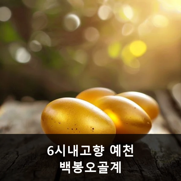 6시내고향 예천 백봉오골계
