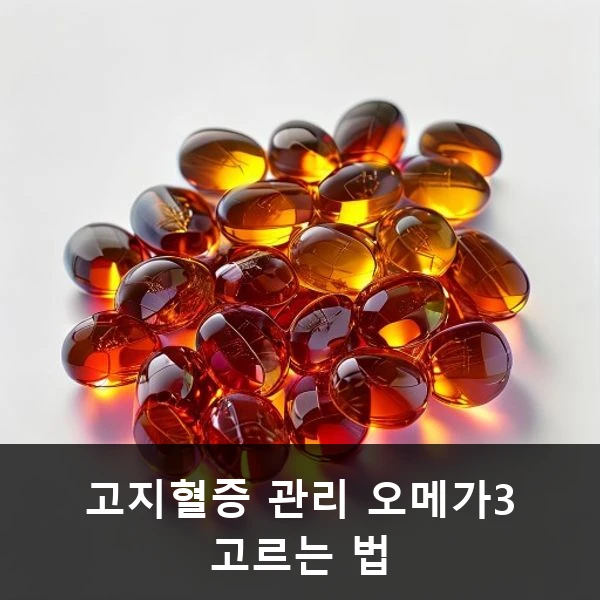 고지혈증 관리 오메가3 고르는 법 관련 대표 이미지
