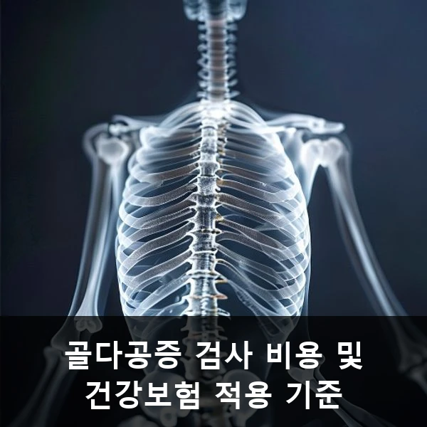 골다공증 검사 비용 및 건강보험 적용 기준 관련 대표 이미지