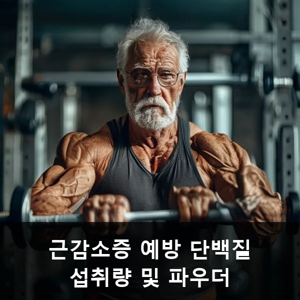 근감소증 예방 단백질 섭취량 및 파우더 관련 대표 이미지