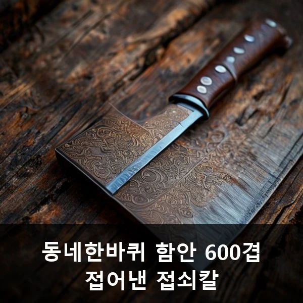 동네한바퀴 함안 600겹 접어낸 접쇠칼 관련 대표 이미지