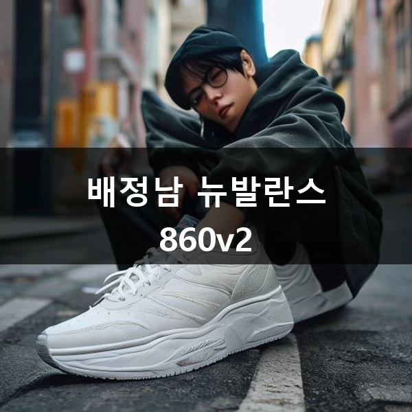 배정남 뉴발란스 860v2 관련 대표 이미지
