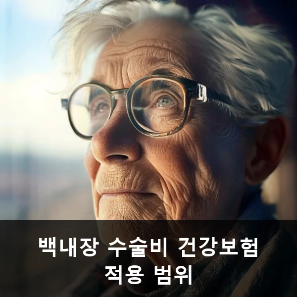 백내장 수술비 건강보험 적용 범위 관련 대표 이미지