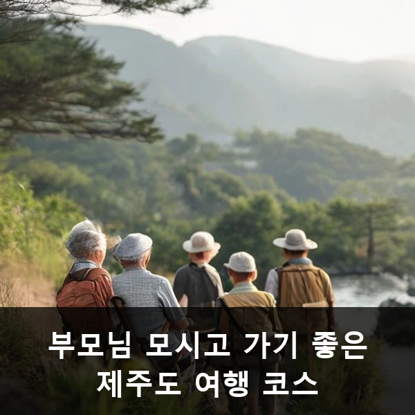부모님 모시고 가기 좋은 제주도 여행 코스 관련 대표 이미지
