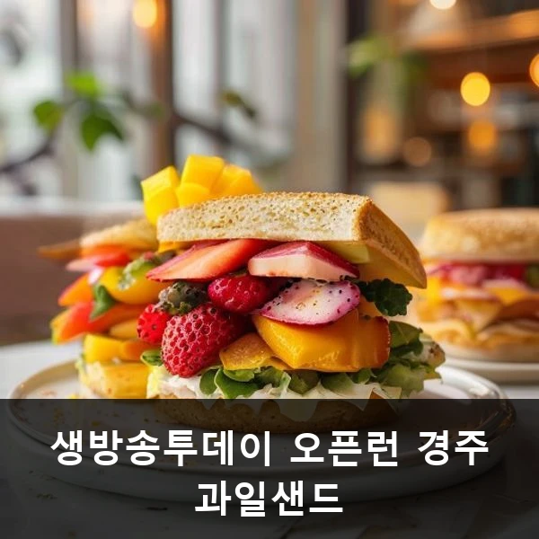 생방송투데이 오픈런 경주 과일샌드 관련 대표 이미지