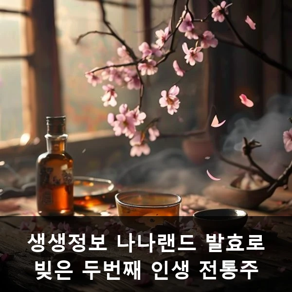 생생정보 나나랜드 발효로 빚은 두번째 인생 전통주 관련 대표 이미지
